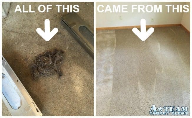 A couple of pictures showing the same area with hair on it and the same area with dirt.