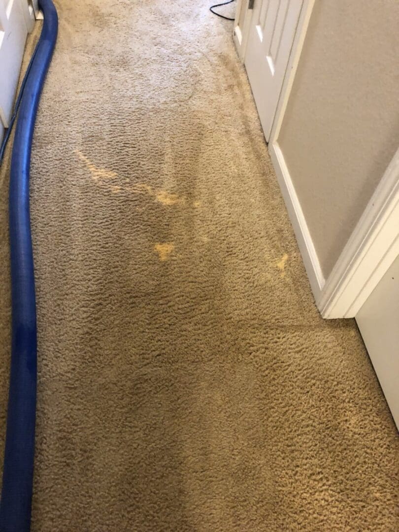A carpet cleaning machine is in the middle of a hallway.