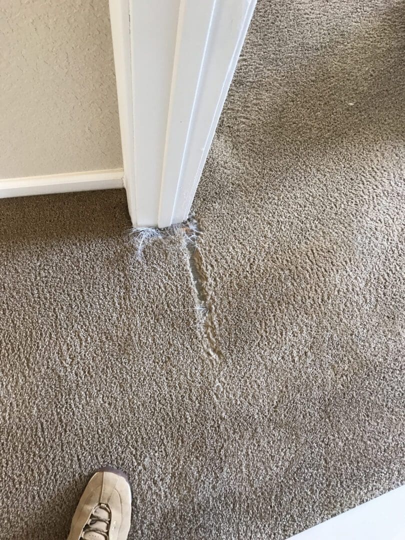A hole in the carpet is shown with a crack.