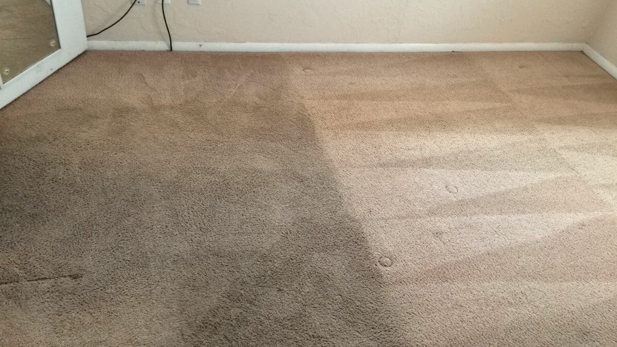 A carpet cleaning service is shown in the process of being cleaned.